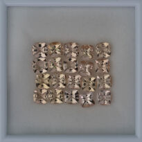 Morganit, Poduszka, 7x7 mm