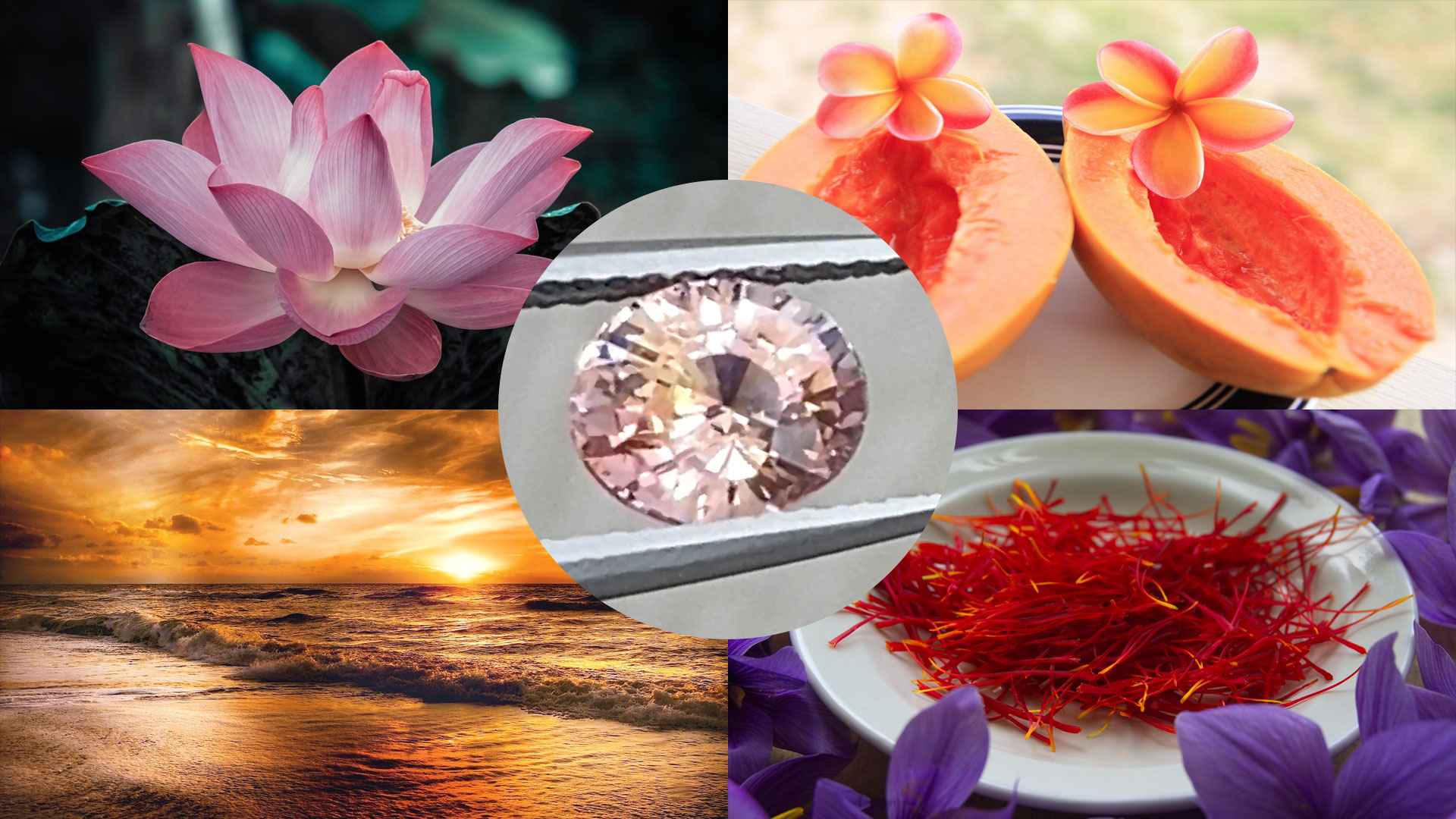 Parwa Szafir Padparadża Parwa Szafir Padparadża