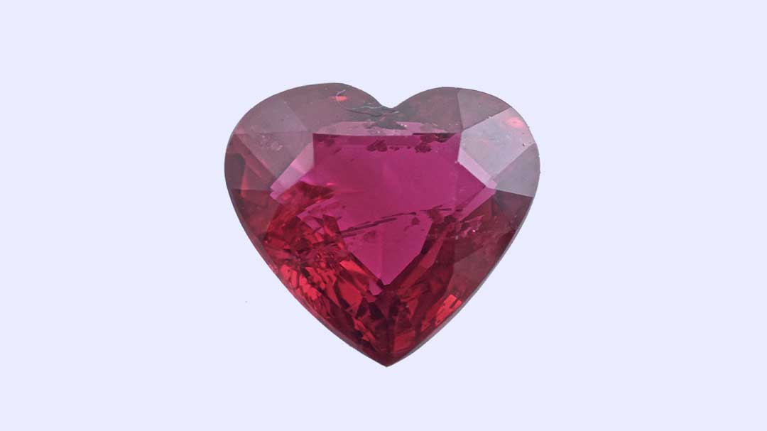 rubin gołębia krew